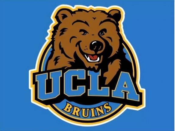 1693791087192340.jpeg 908e2c5d938d4990853552de32c3d197.jpeg